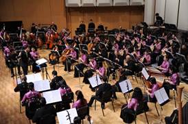 2018-08-02-2 新加坡华乐团将于新加坡植物园奏响狮城庆国庆！